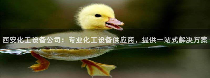 美狮图片