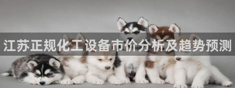 美狮会套利是真的吗