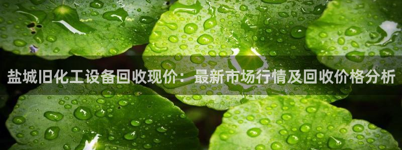 美狮荟积分规则