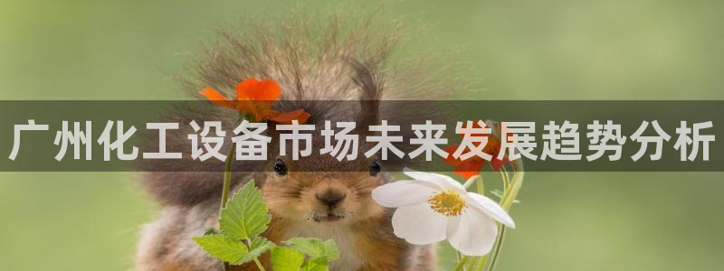 美狮科技