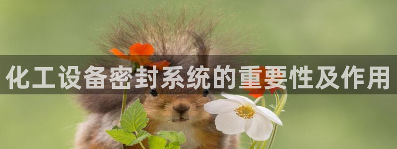美狮传媒集团有限公司