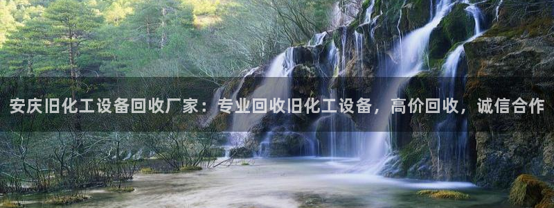 美狮会官版