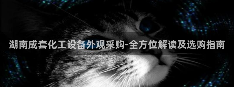 美狮国际控股集团