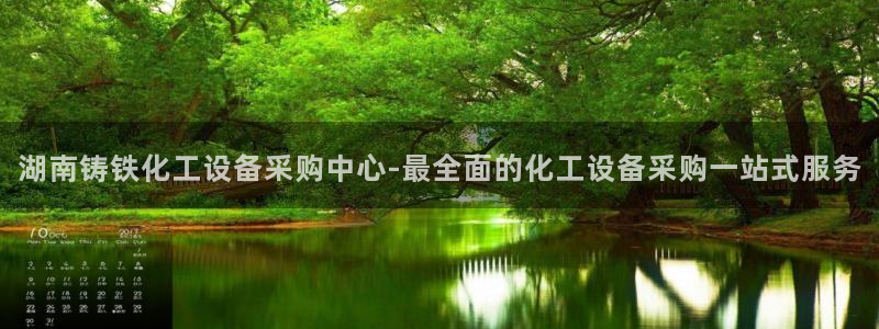 美狮国际控股集团