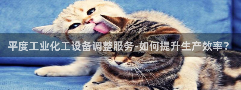美狮贵宾会合法吗