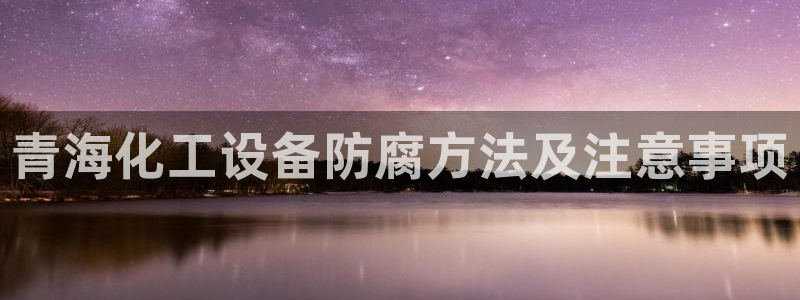 美国美狮集团