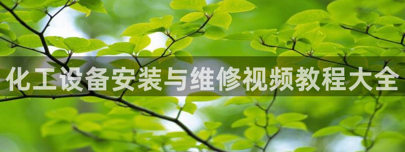 美狮会员卡等级划分表
