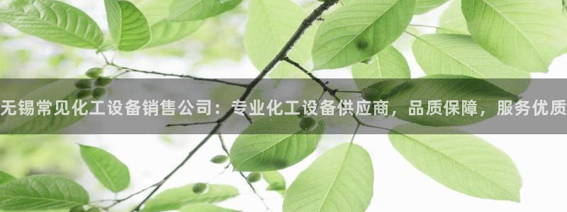 美狮会套利是真的吗