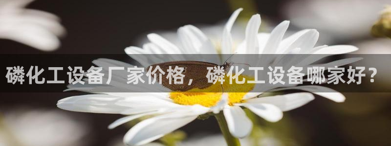 美狮贵宾会ms092021