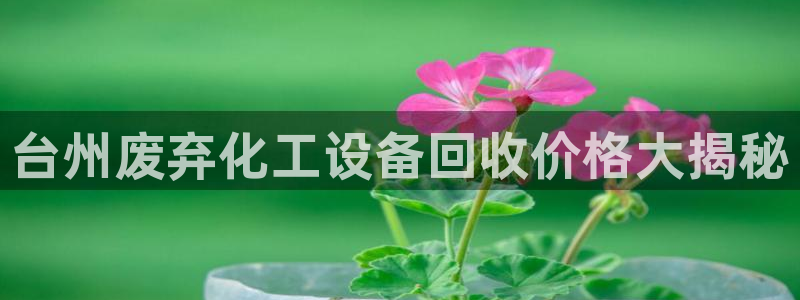 美狮贵宾会网页登陆