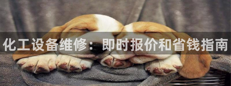 美狮会员卡等级划分