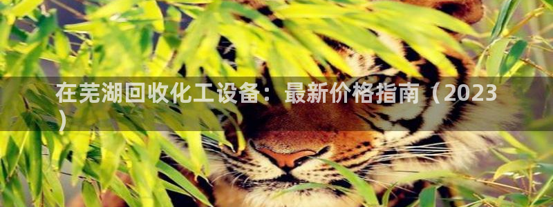 美狮贵宾会会员
