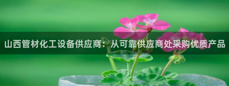 美狮平台