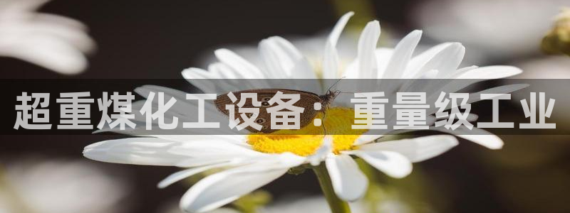 美狮贵宾厅