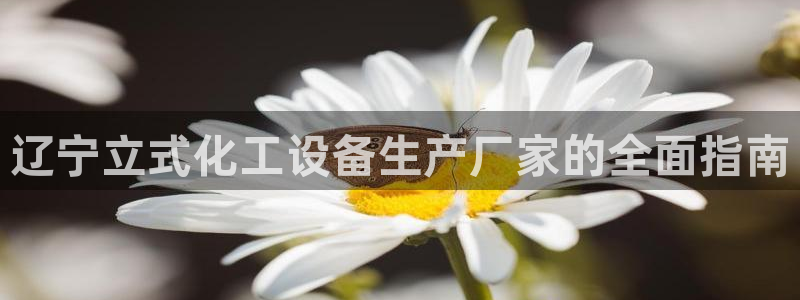 美狮贵宾会0925511