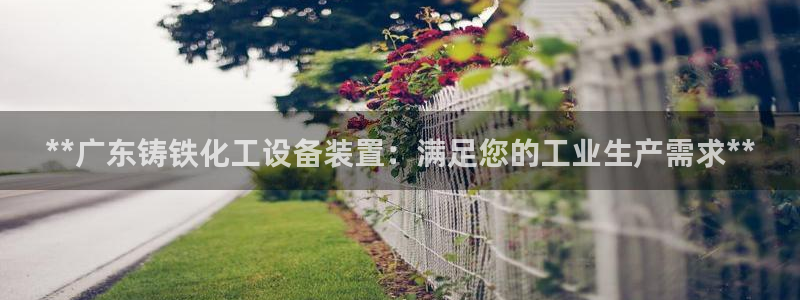 美狮贵宾厅
