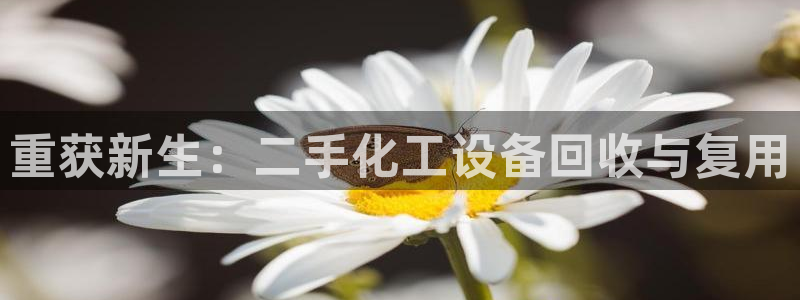美狮会