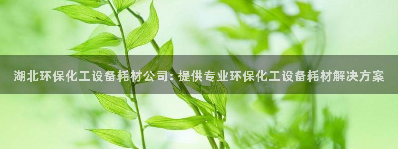 美狮贵宾会快充值中心