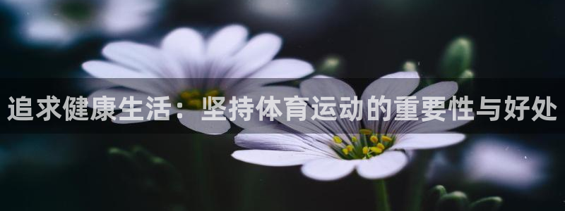 bbin视讯下
