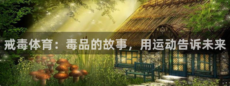 bbin视讯下