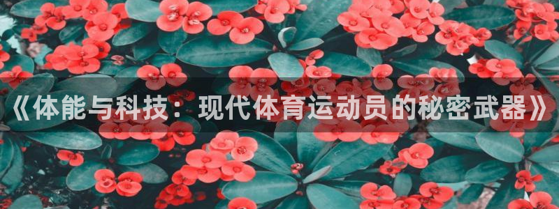 bbin视讯游戏平台