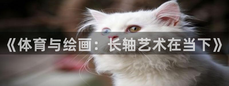 bbin视讯游戏平台