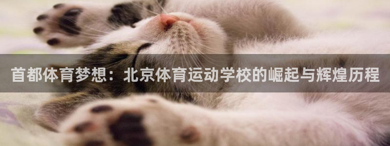 bbin视讯游戏官网