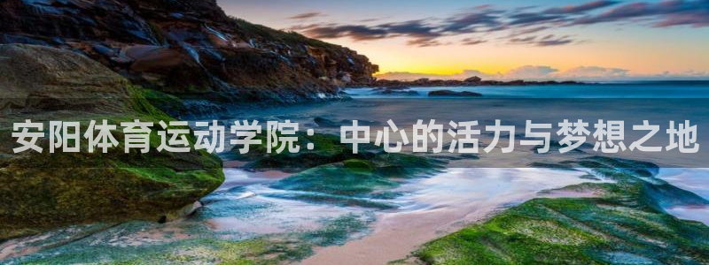 bbin视讯下