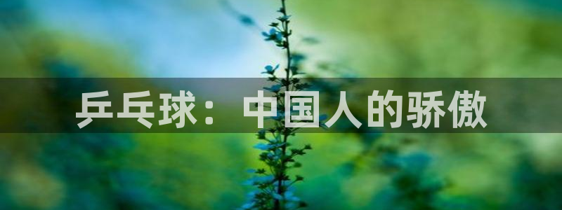 bbin视讯