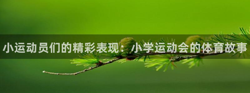 bbin视讯游戏平台