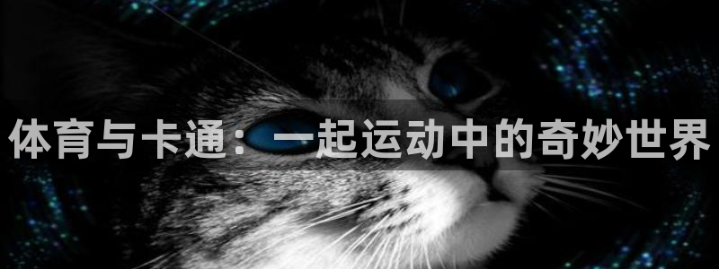 bbin视讯下