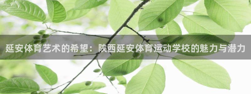 bbin视讯下
