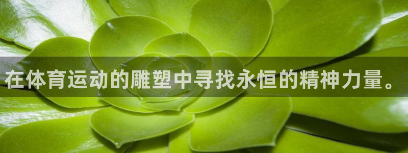 bbin视讯下