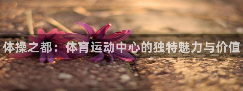 bbin视讯游戏官网
