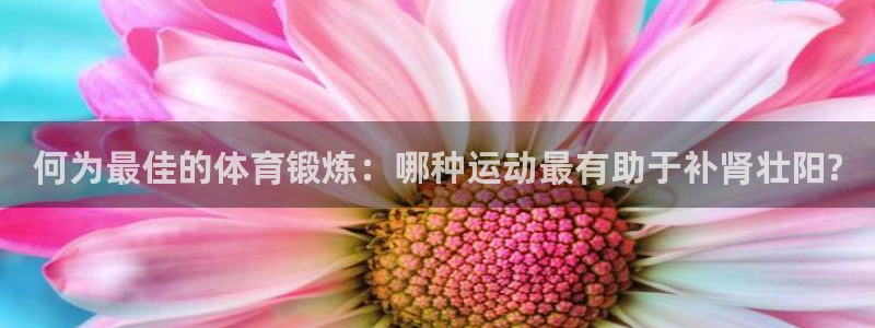 bbin视讯游戏官网