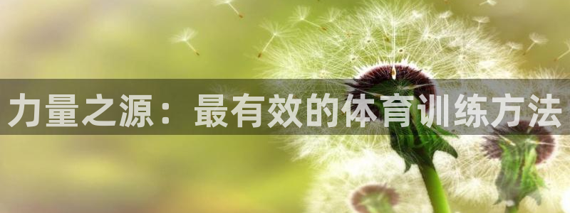 bbin视讯游戏平台