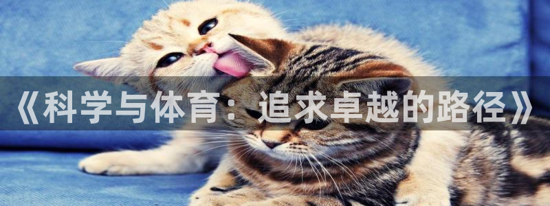 bbin视讯游戏官网