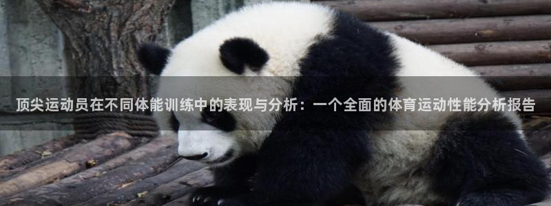 bbin视讯下