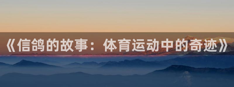 bbin视讯