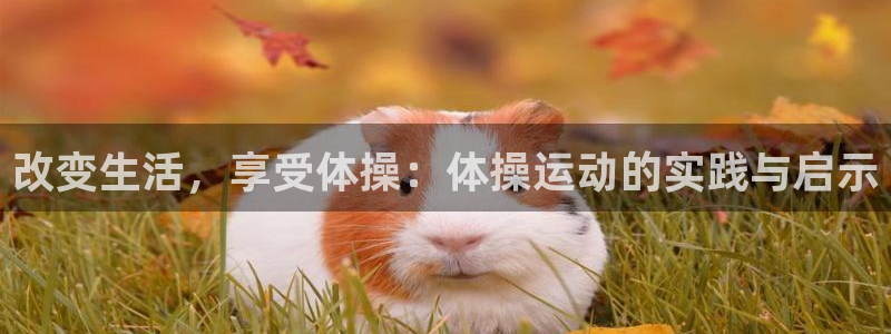 bbin视讯游戏平台