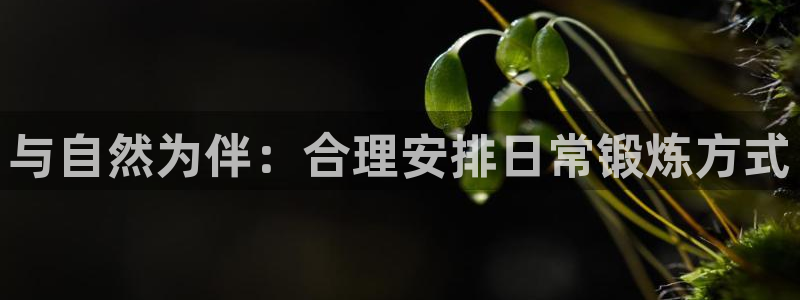 bbin视讯游戏平台