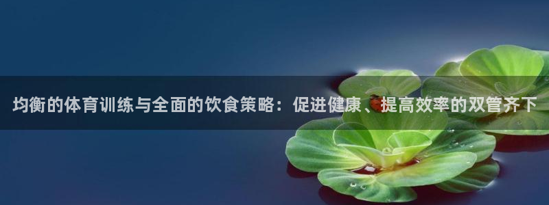 bbin视讯