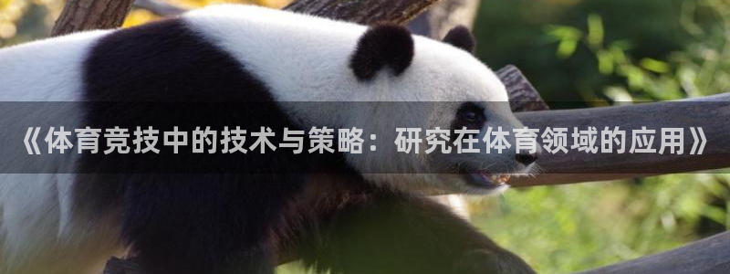 bbin视讯游戏官网
