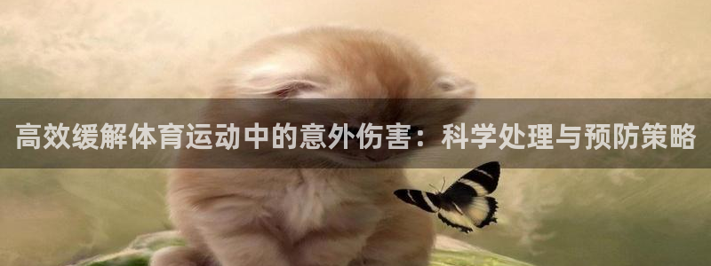 bbin视讯下