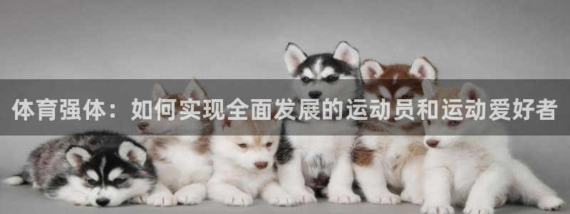 bbin视讯下