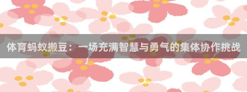bbin视讯游戏官网