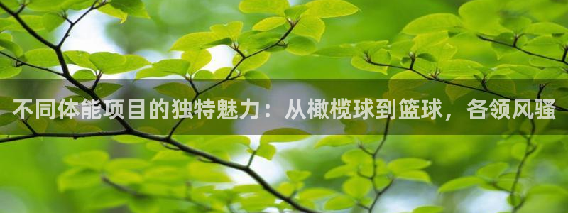 bbin视讯下